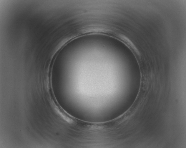 X0000082950890200702081646