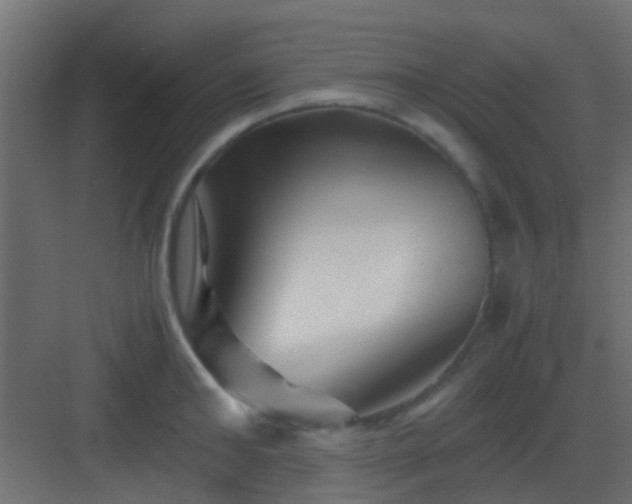 X0000082950902200702081646