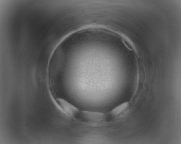 X0000082950911200702081646