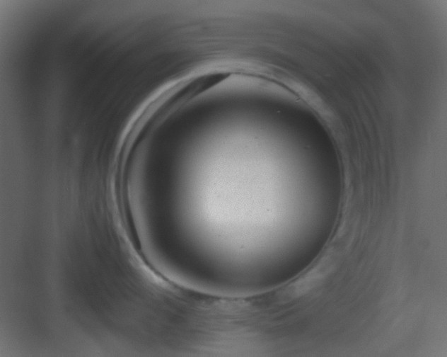 X0000082950912200702081646