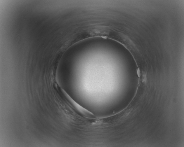X0000082950915200702081645
