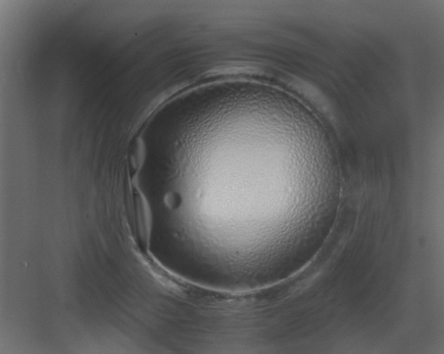 X0000082950937200702081646