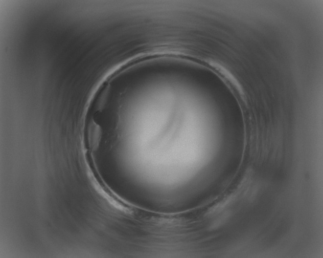 X0000082950941200702081646