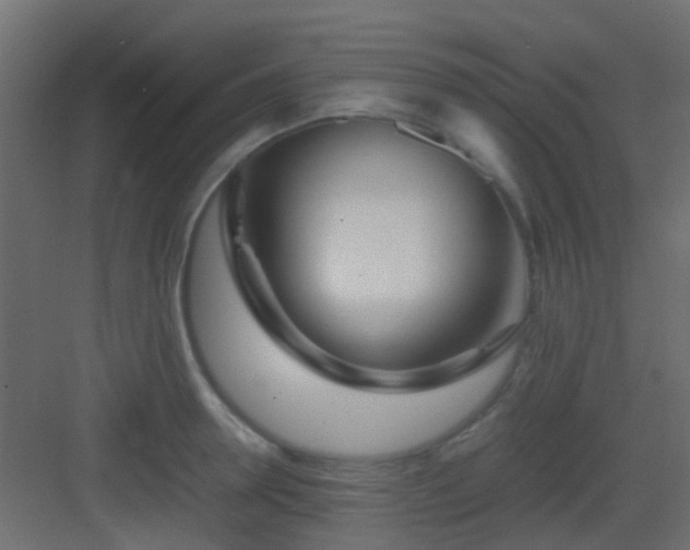X0000082950946200702081646