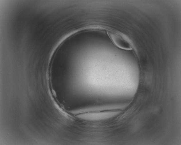 X0000082950951200702081646