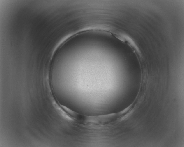 X0000082950952200702081646