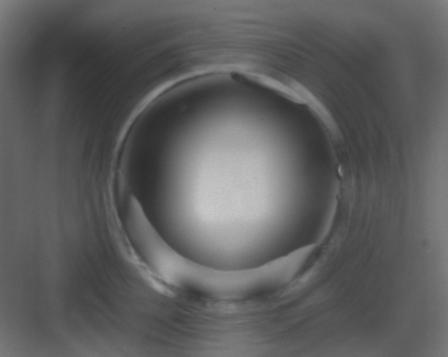 X0000082950956200702081646