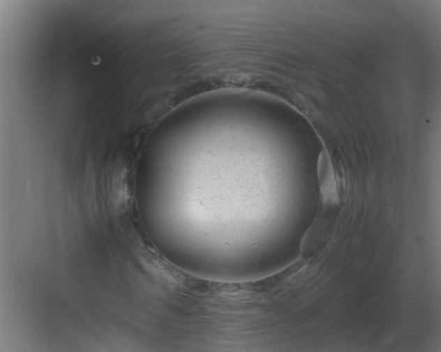 X0000082950962200702081645