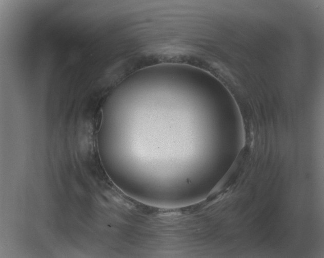 X0000082950964200702081645