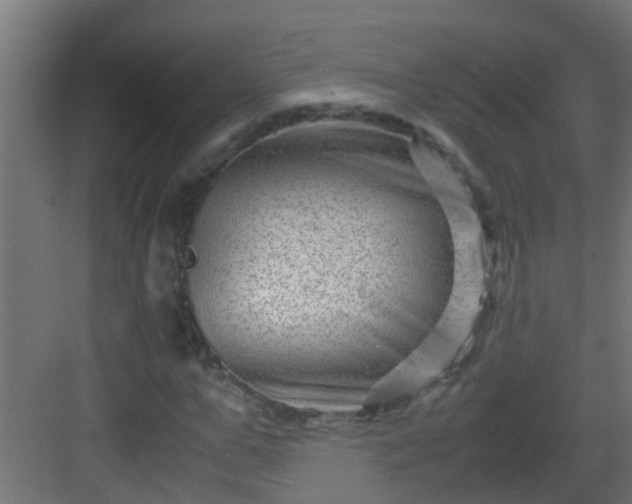 X0000082950967200702081645