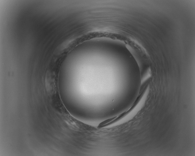 X0000082950968200702081645