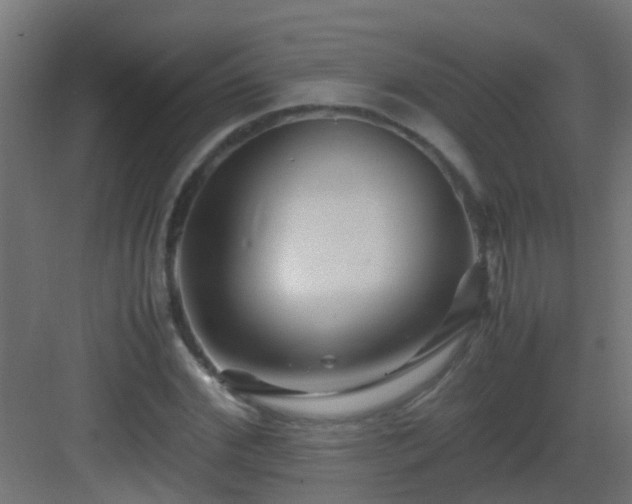 X0000082950972200702081645