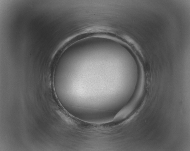 X0000082950973200702081645