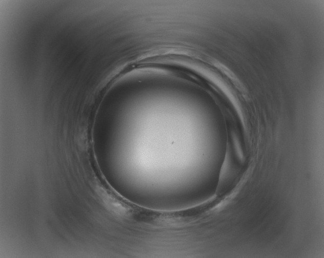 X0000082950977200702081645