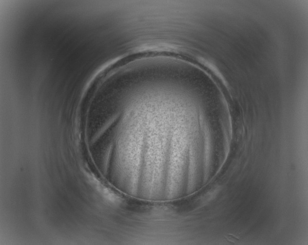 X0000082950979200702081645