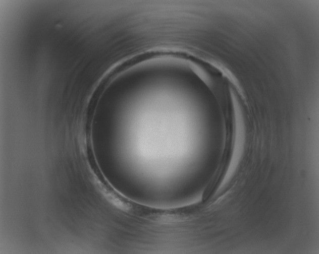 X0000082950984200702081645