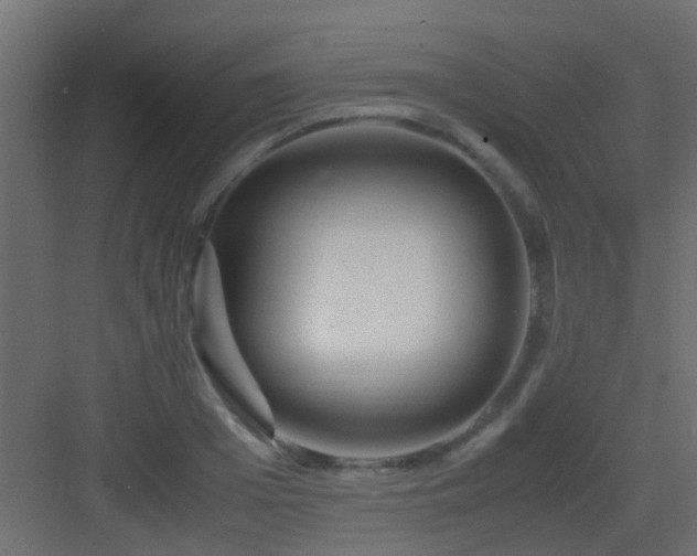 X0000082950985200702081645