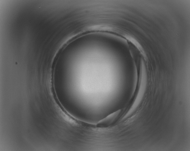 X0000082950992200702081645