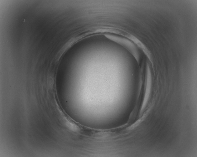 X0000082950993200702081645