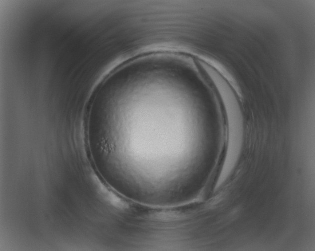 X0000082950998200702081645