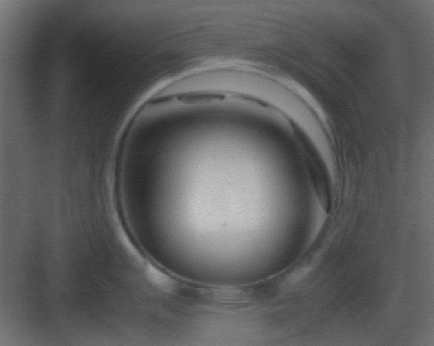 X0000082951007200702081645