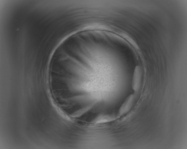 X0000082951008200702081644
