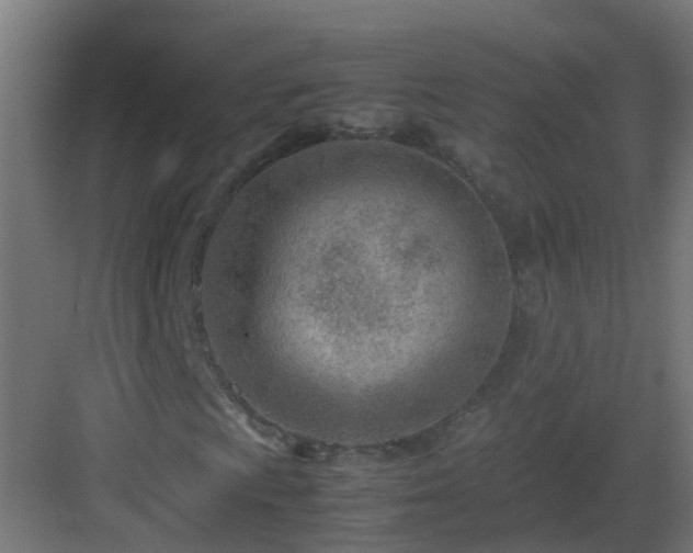 X0000082951009200702081644