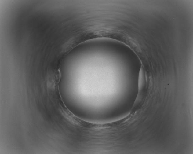 X0000082951012200702081644