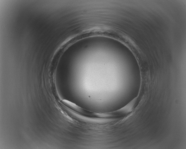 X0000082951018200702081644