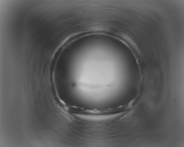 X0000082951023200702081644