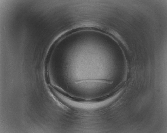 X0000082951024200702081644