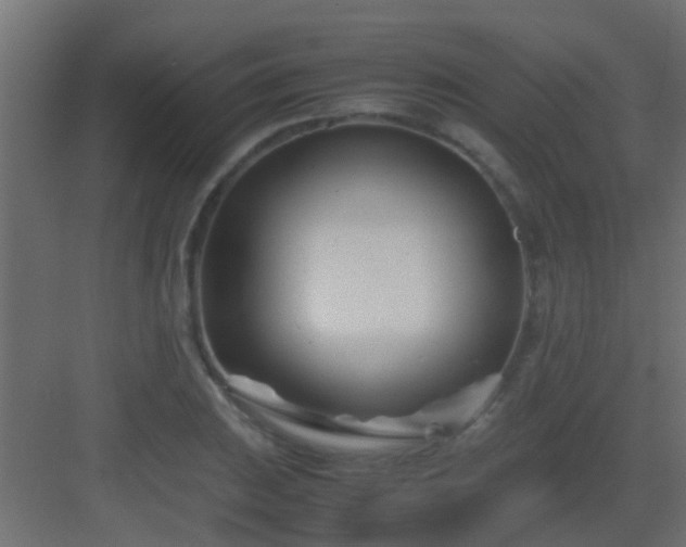 X0000082951031200702081644