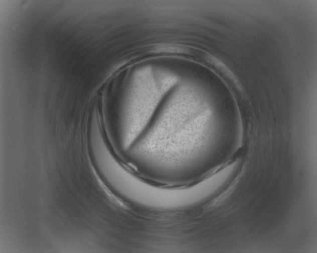 X0000082951033200702081644