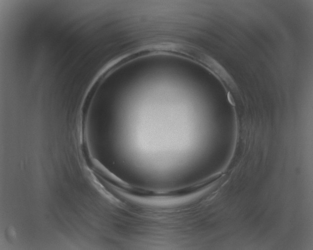 X0000082951036200702081644