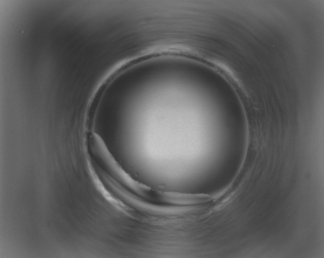 X0000082951038200702081644