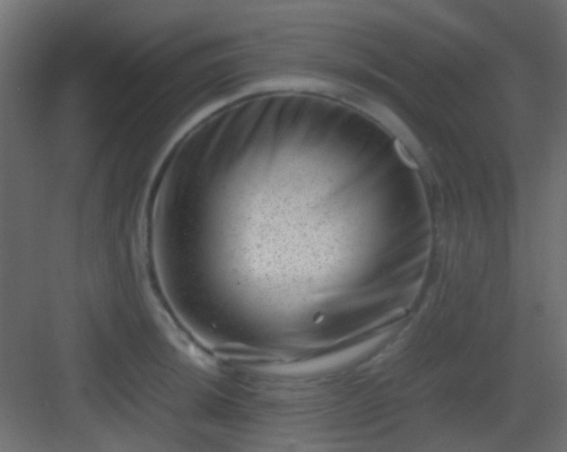 X0000082951044200702081644