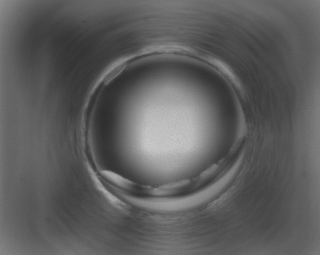 X0000082951046200702081644