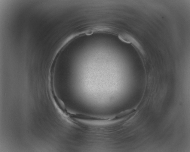 X0000082951047200702081644