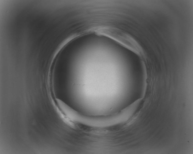 X0000082951050200702081644