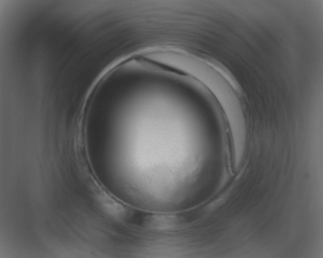 X0000082951052200702081644