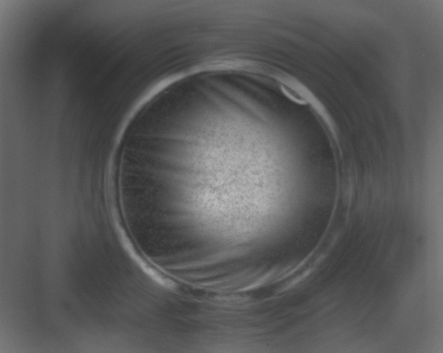 X0000082951053200702081644