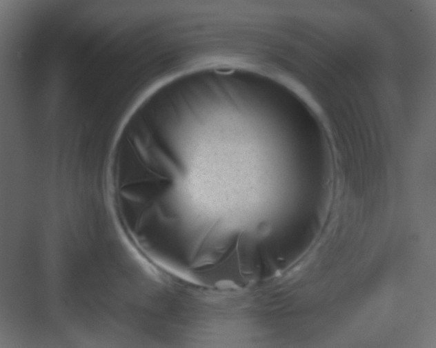 X0000082951056200702081644