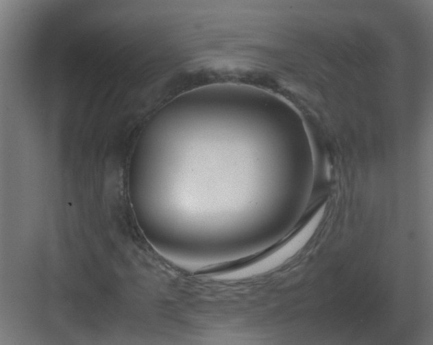 X0000082951061200702081644