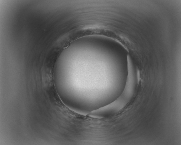 X0000082951062200702081644