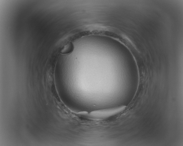X0000082951063200702081644