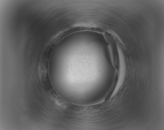 X0000082951064200702081644