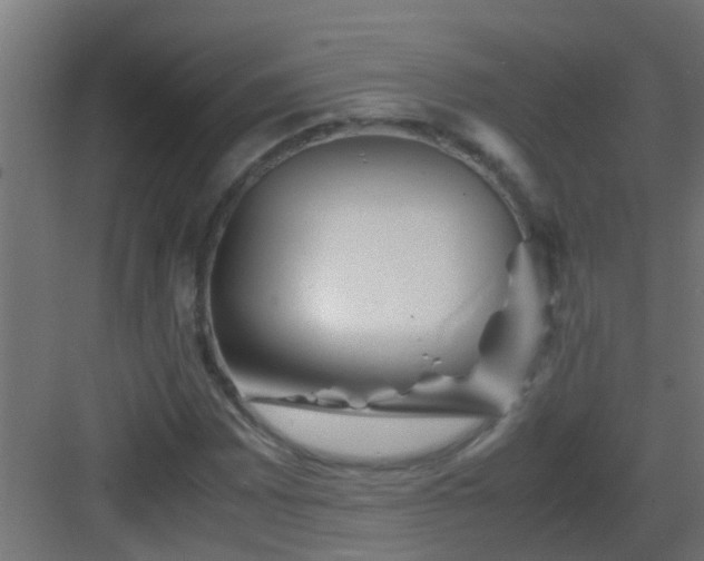 X0000082951065200702081644