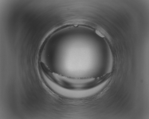 X0000082951085200702081643