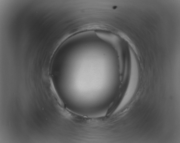 X0000082951089200702081643