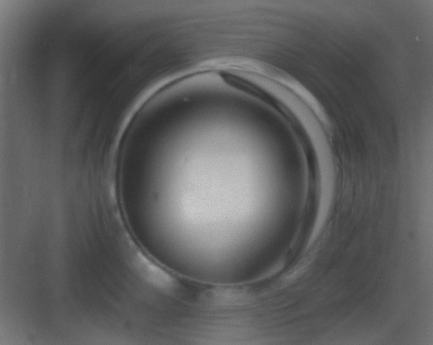 X0000082951102200702081643